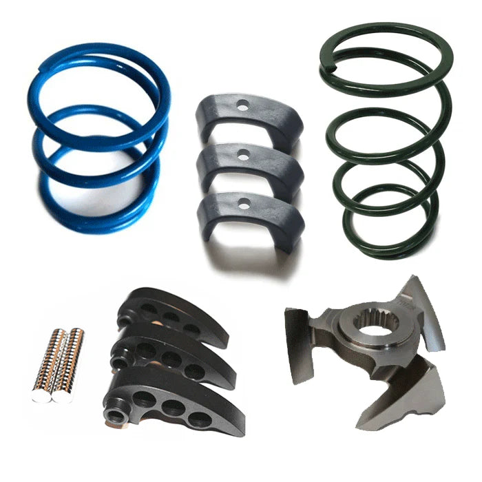 Goldstar Clutch Kit STG2 / RZR XPT ('16)