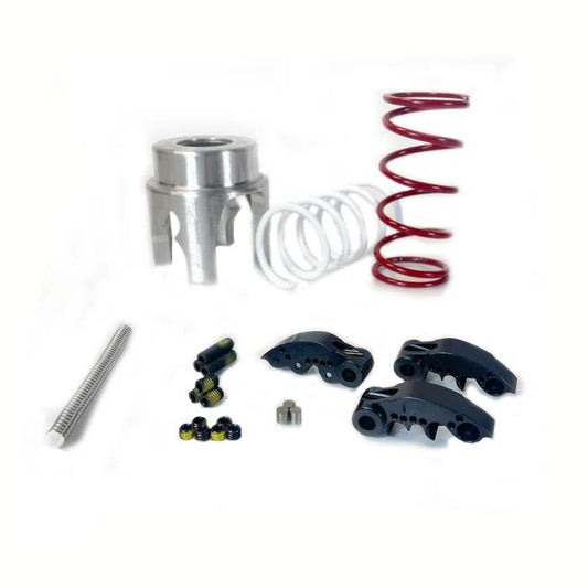 Clutch Kit STG2 / SKIDOO 850 Rev-Renegade 17+