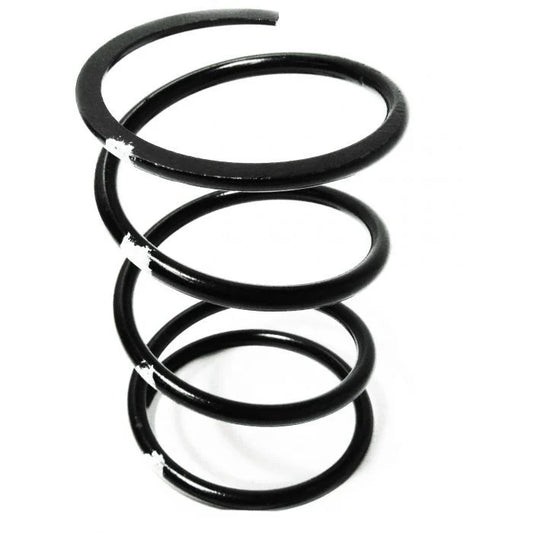 TEAM SECONDARY SPRINGS