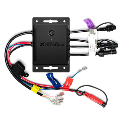 Kit de fouet extrême Qté 2 x 4 pi plus contrôleur LEDCast 